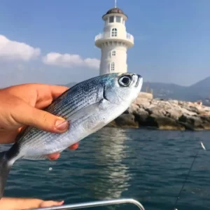 Město Alanya a Dimçay