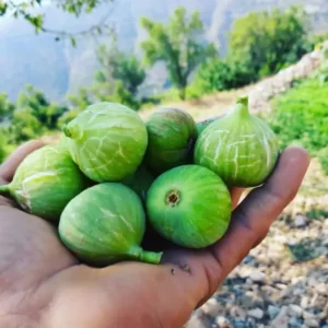 Alanya Jeep Safari Tour (2)