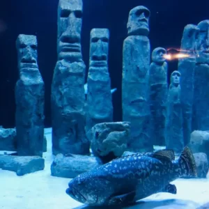 Výlet do Akvária v Antalyi