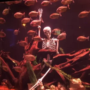 Výlet do Akvária v Antalyi