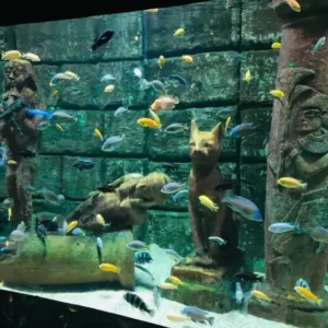 Výlet do Akvária v Antalyi