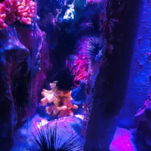 Výlet do Akvária v Antalyi