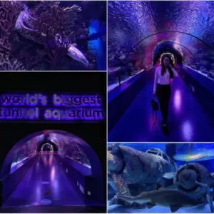 Výlet do Akvária v Antalyi