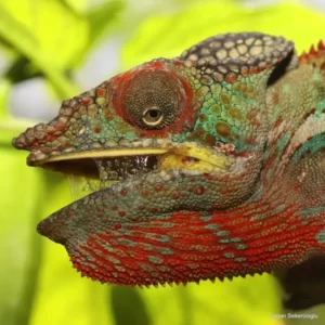 Výlet do Akvária v Antalyi