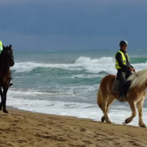 Alanya – Jízda Na Koni