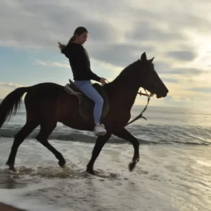 Alanya – Jízda Na Koni