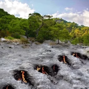 noční safari s olympijským ohněm (2)