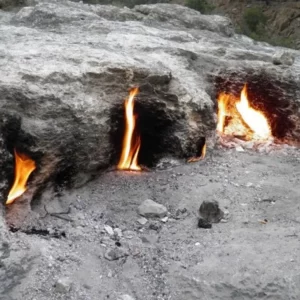 noční safari s olympijským ohněm(6)