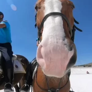 Starobylé město Sagalassos a jezero Salda (4)