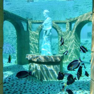 Delfinárium Sealanya – Delfín show(1)