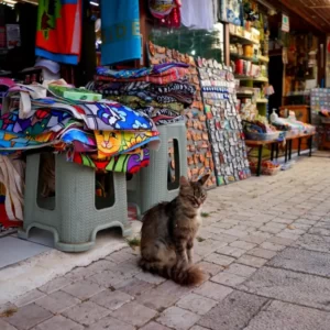 Side-Manavgat Výlet