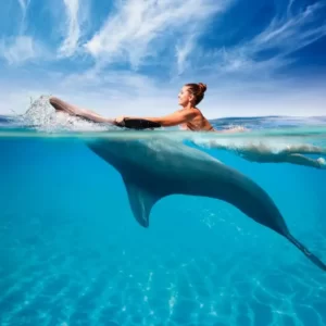 plavání s delfíny (1)