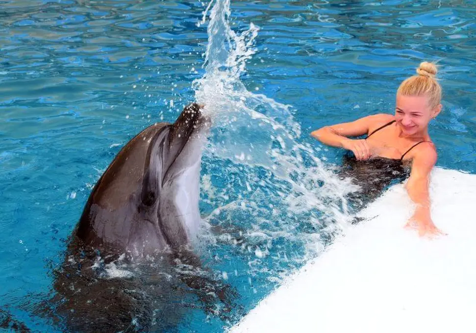 plavání s delfíny (2)